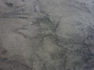 Ʒ - STONGVAL